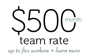 $500 / month - Team Rate - up to five workers - learn more